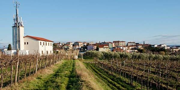 Novosti na spletni strani