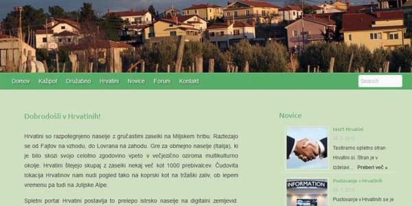 Hrvatini na spletu